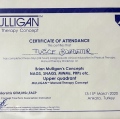 Resmi büyüt: certificate 10