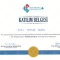 Resmi büyüt: certificate 14