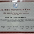 Resmi büyüt: certificate 2