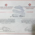 Resmi büyüt: certificate 4