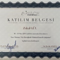 Resmi büyüt: certificate 4