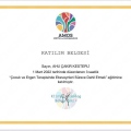 Resmi büyüt: certificate 8