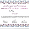 Resmi büyüt: certificate 6