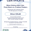 Resmi büyüt: certificate 1