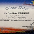 Resmi büyüt: certificate 19