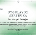 Resmi büyüt: certificate 9
