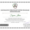 Resmi büyüt: certificate 1