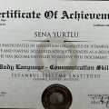 Resmi büyüt: certificate 11