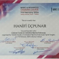 Resmi büyüt: certificate 8