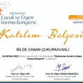Resmi büyüt: certificate 6