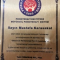Resmi büyüt: certificate 3