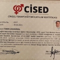 Resmi büyüt: certificate 5