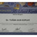 Resmi büyüt: certificate 15