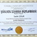 Resmi büyüt: certificate 6