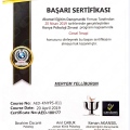 Resmi büyüt: certificate 8