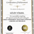 Resmi büyüt: certificate 3