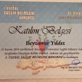 Resmi büyüt: certificate 22
