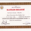 Resmi büyüt: certificate 30