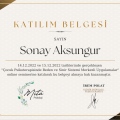 Resmi büyüt: certificate 20
