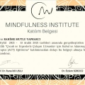 Resmi büyüt: certificate 1
