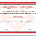 Resmi büyüt: certificate 1