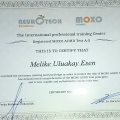 Resmi büyüt: certificate 4
