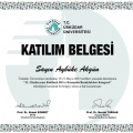 Resmi büyüt: certificate 19