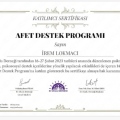 Resmi büyüt: certificate 4