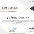 Resmi büyüt: certificate 6