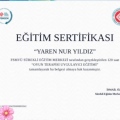 Resmi büyüt: certificate 4