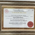 Resmi büyüt: certificate 4