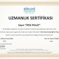 Resmi büyüt: certificate 1