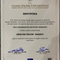 Resmi büyüt: certificate 1