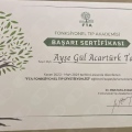 Resmi büyüt: certificate 15