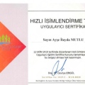 Resmi büyüt: certificate 3