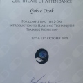 Resmi büyüt: certificate 4