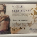 Resmi büyüt: certificate 1