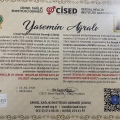Resmi büyüt: certificate 11
