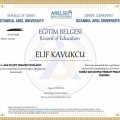 Resmi büyüt: certificate 1