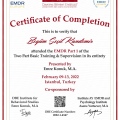 Resmi büyüt: certificate 2