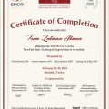 Resmi büyüt: certificate 1