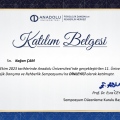 Resmi büyüt: certificate 4