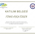 Resmi büyüt: certificate 2