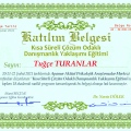 Resmi büyüt: certificate 1