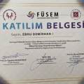 Resmi büyüt: certificate 8