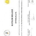 Resmi büyüt: certificate 5