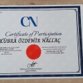 Resmi büyüt: certificate 3