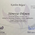 Resmi büyüt: certificate 10