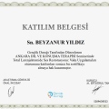 Resmi büyüt: certificate 12