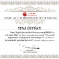 Resmi büyüt: certificate 1